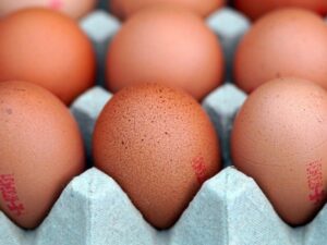 Huevos XL