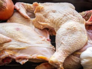Gallina