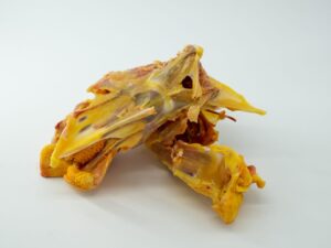 Esqueleto de pollo de corral