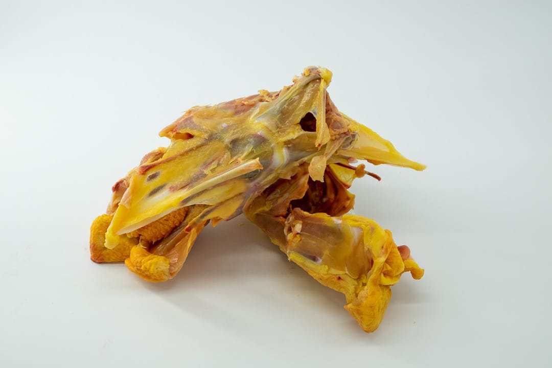 Esqueleto de pollo de corral