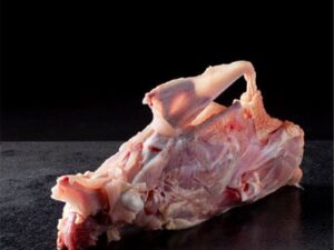 Esqueleto de pollo
