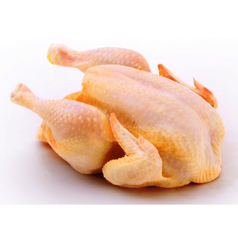 Pollo de corral